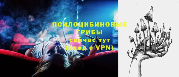 герыч Губаха