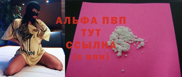 PSILOCYBIN Осташков