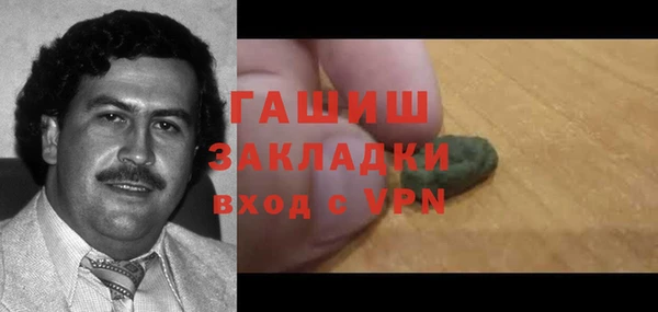 стаф Осинники