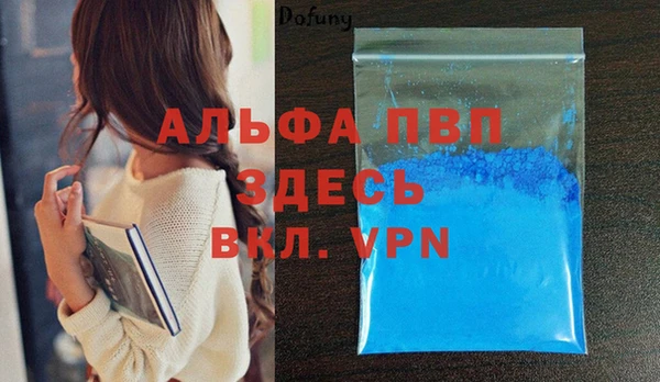 стаф Осинники