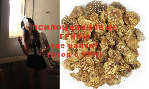 PSILOCYBIN Осташков