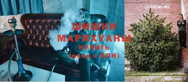 PSILOCYBIN Осташков