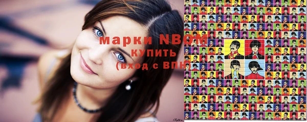 стаф Осинники