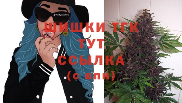 PSILOCYBIN Осташков