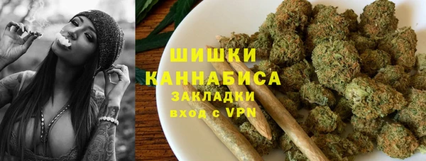 PSILOCYBIN Осташков