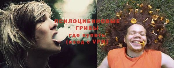 PSILOCYBIN Осташков
