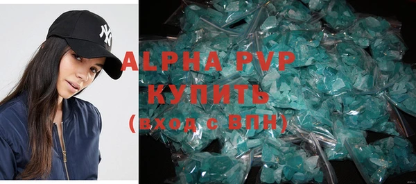 стаф Осинники