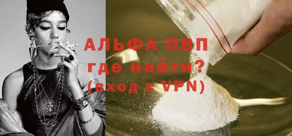 стаф Осинники