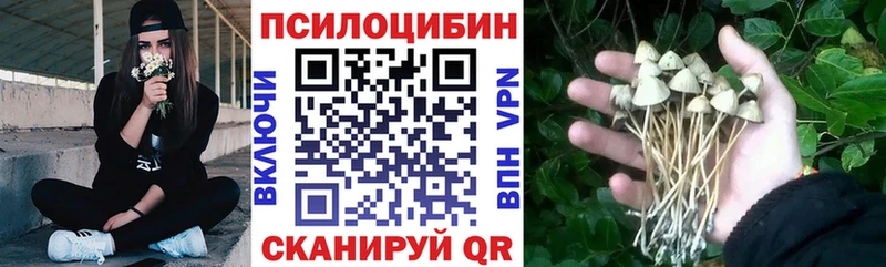 Галлюциногенные грибы ЛСД  Купить закладки  Клинцы 
